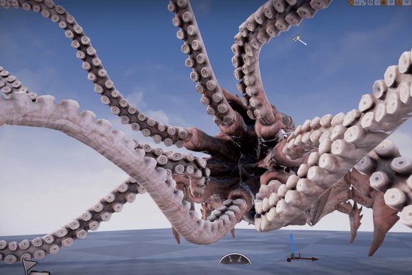 Kraken 17 at