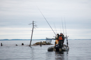 Kraken 23 at