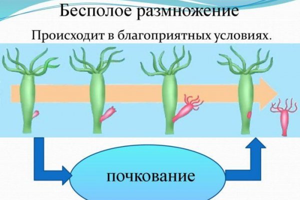 Сайт кракен через тор